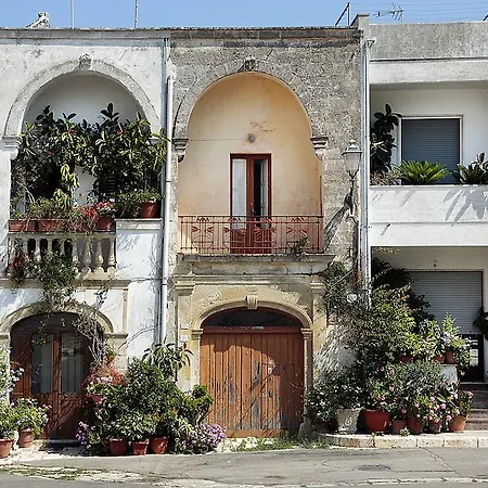 Bed & Breakfast Salento La Tana Del Riccio *